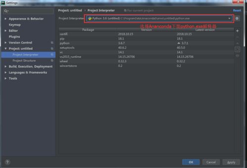 Python常用软件安装与配置教程 技术开发全方位指南