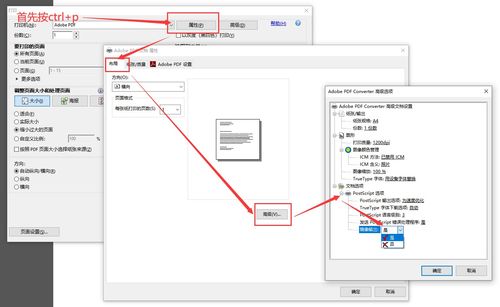 如何使用Adobe软件镜像PDF页面 实用指南